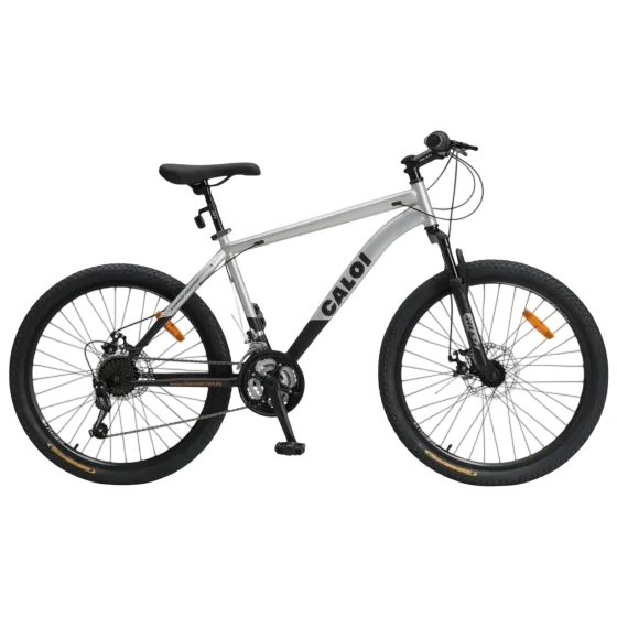 BICI CALOI RIDER SPORT 24 GRIS